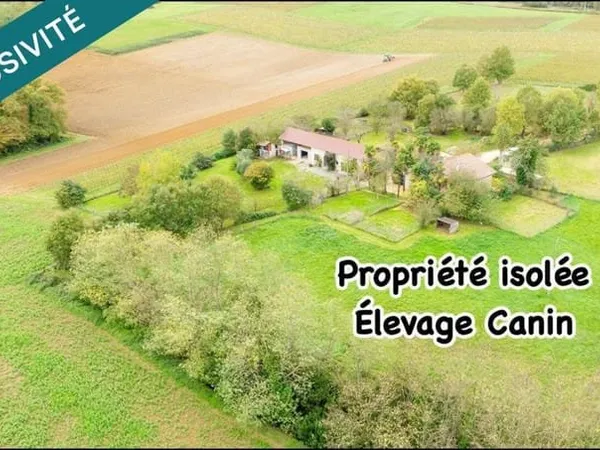Maison 9 pièces 229 m²