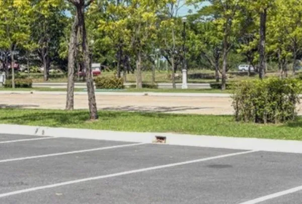 Location parking exterieur 45 euros