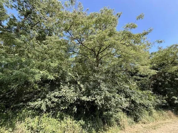 Terrain 3732 m²