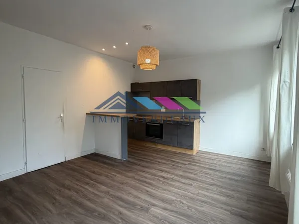 NANCY A LOUER - Appartement - 39 m2 - 2 pièces - place de pa