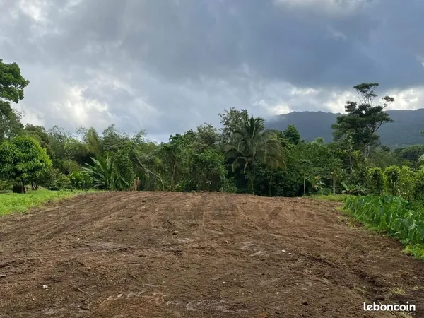 Terrain 2 004 m² Le Morne Rouge