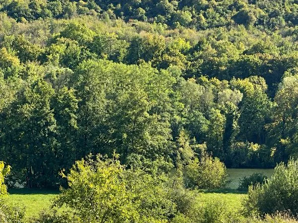 LIVERDUN - Terrain de 1 650 m² avec vue sur la Moselle