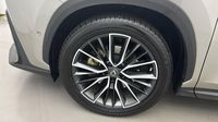 Lexus Nx 450h+ 4WD Executive — photo 20