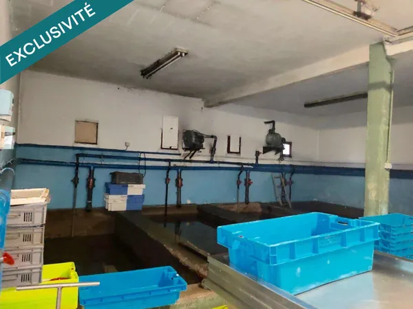 Local professionnel 110m² sur le Port de Doëlan