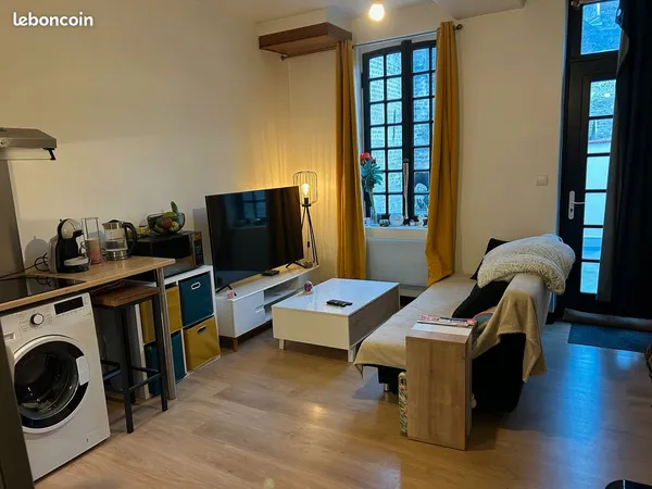 Loue appartement 1ch hyper centre, avec terrasse