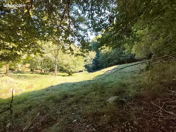 Terrain nature 5.800m2 avec bois et ruisseau