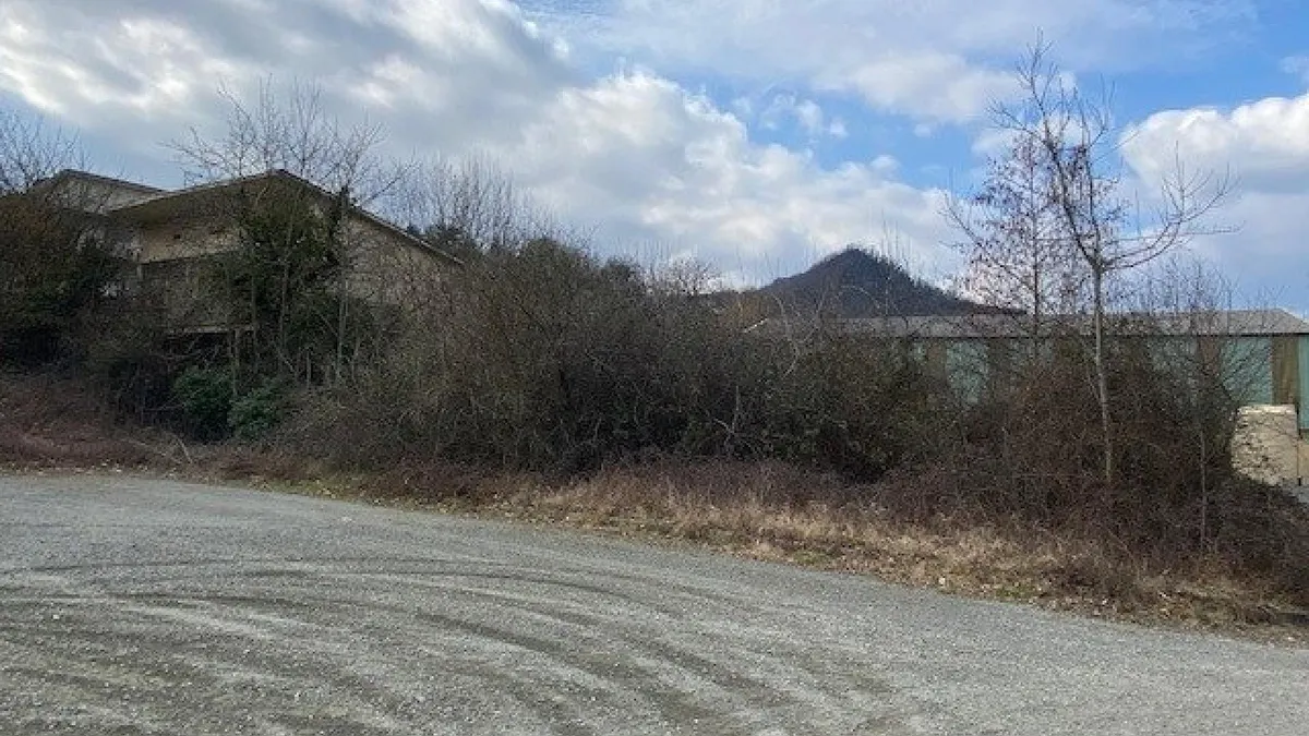 Photo 5