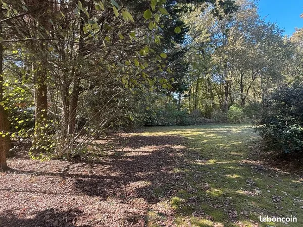 Terrain 410 m² Salles