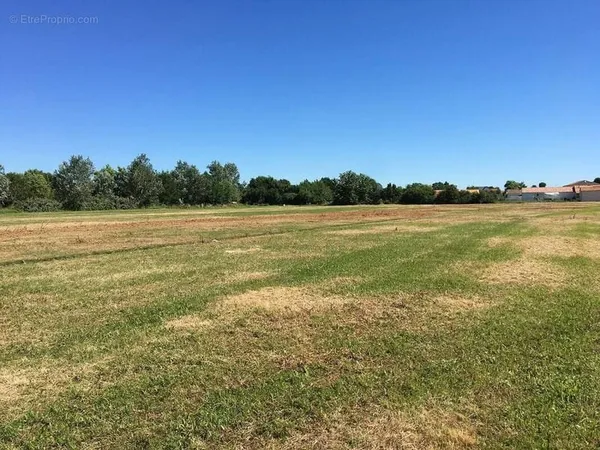 Terrain 384 m²