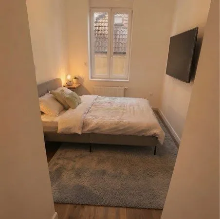 Appartement Metz 46 m2 meublé