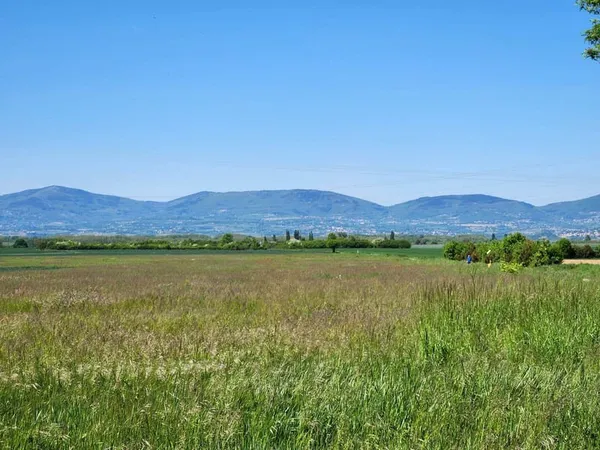 Terrain 969 m²