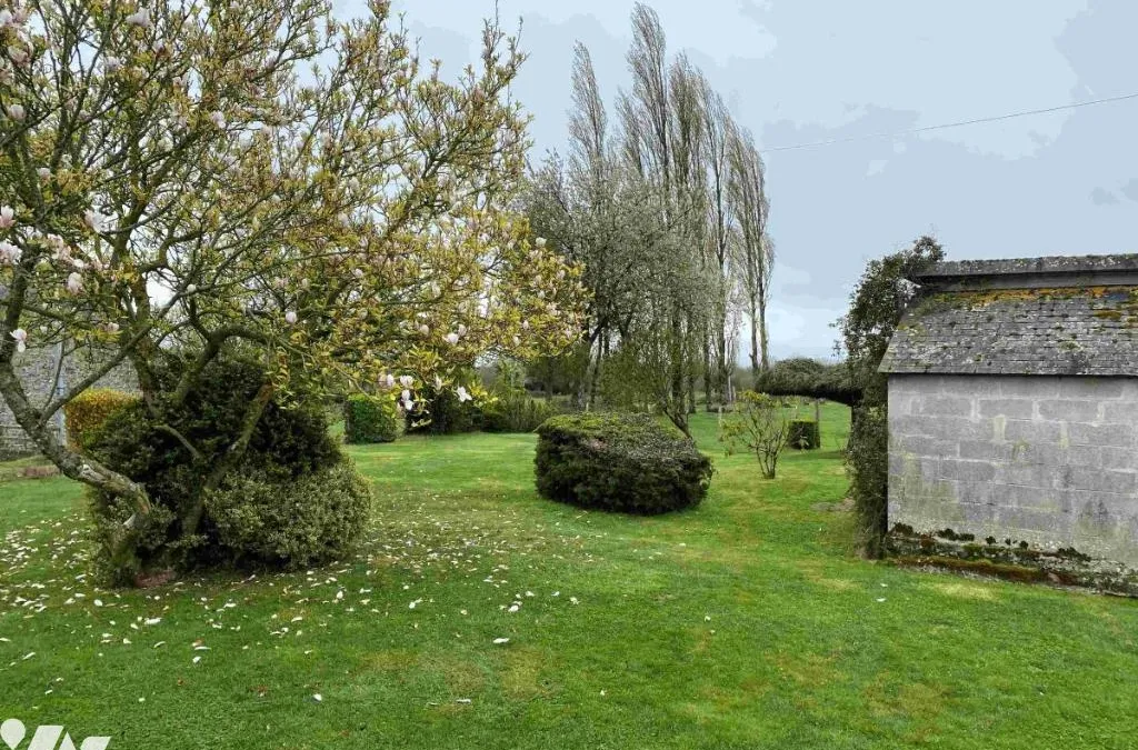 Photo 17