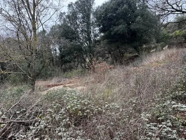 Terrain 3010 m²