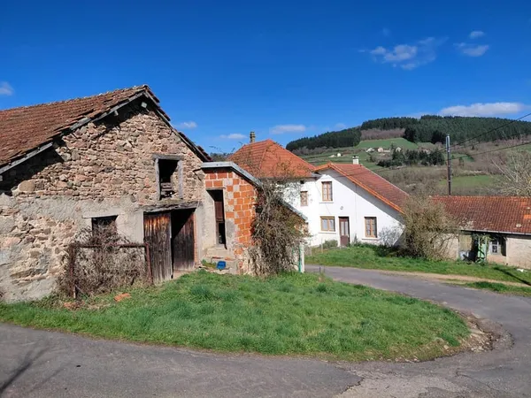 Vente Maison de campagne 132 m² à Arfeuilles 44 900 €