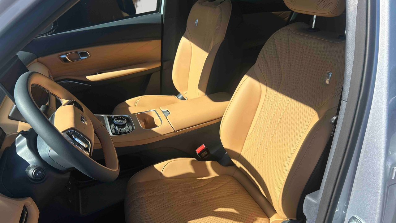 Geely Starray EM-i — photo 11
