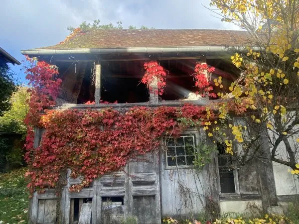 Vends petite maison de campagne en sologne avec garage