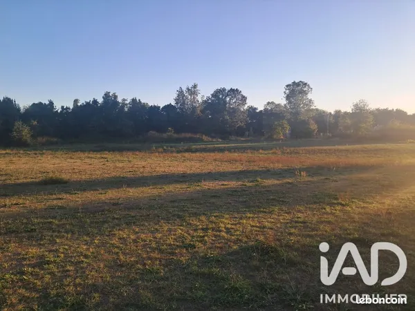 Terrain 24701 m² bretignolles