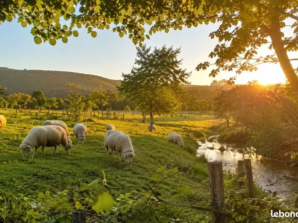 🐑🌿 à prêter - 6 500 m² clôturés à cardesse pour pâturage - rivière & eau sur place