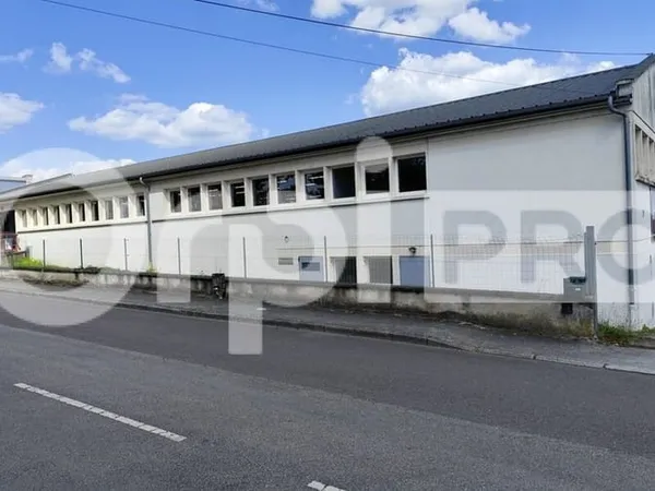 Local d'activité 1240 m²