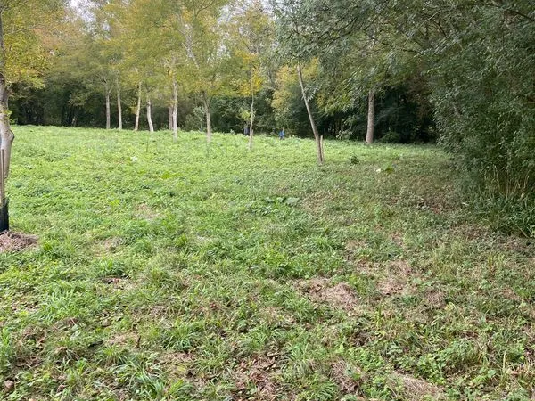 Terre agricole