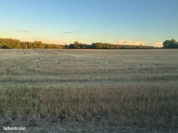 Terre agricole