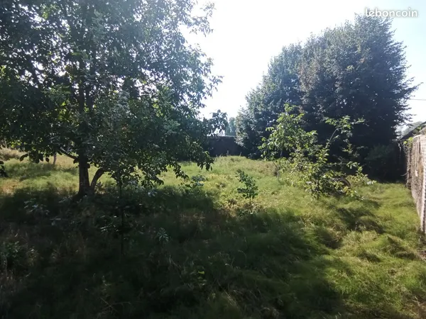 Terrain constructible