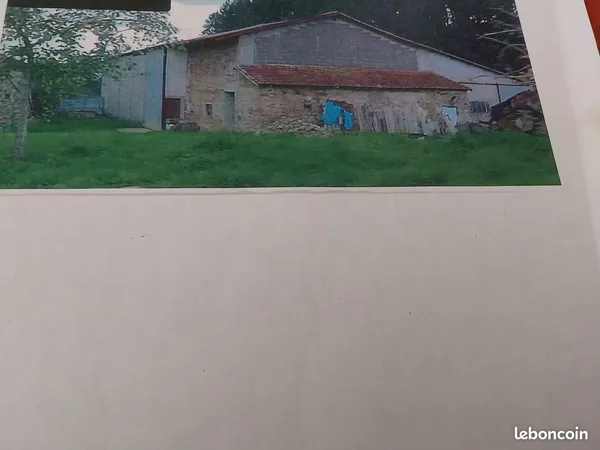 Local d’activité et entrepôt Location Thizy-les-Bourgs 1p 330m² 1000€