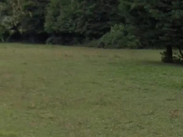 Terrain 500 m²
