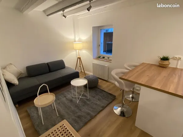 Appartement T1 bis 32 m2 dans l'hyper centre de Ferney-Voltaire
