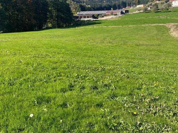 Terrain constructible