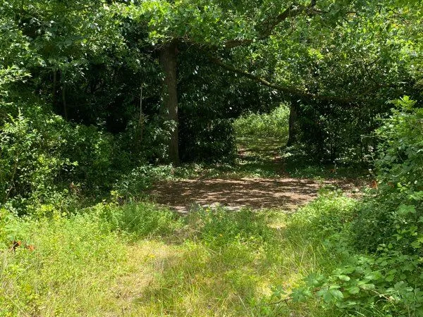 Terrain de loisir