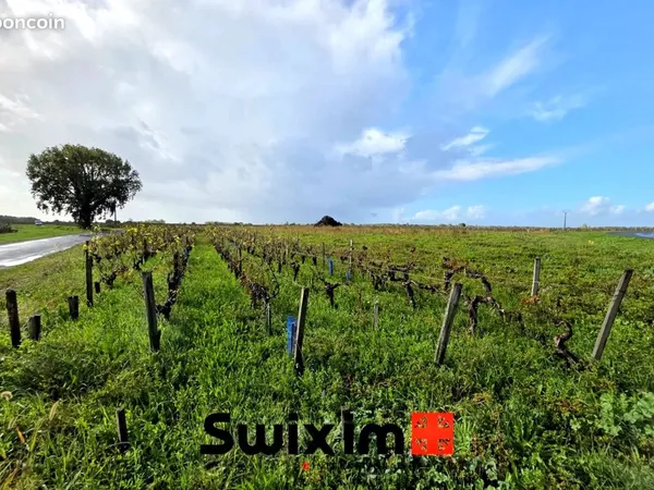 Terrain 2280 m² Saint-Estèphe