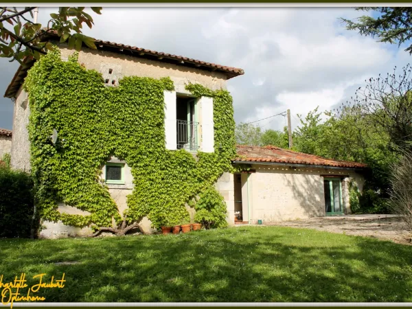 ensemble de 2 maisons + piscine