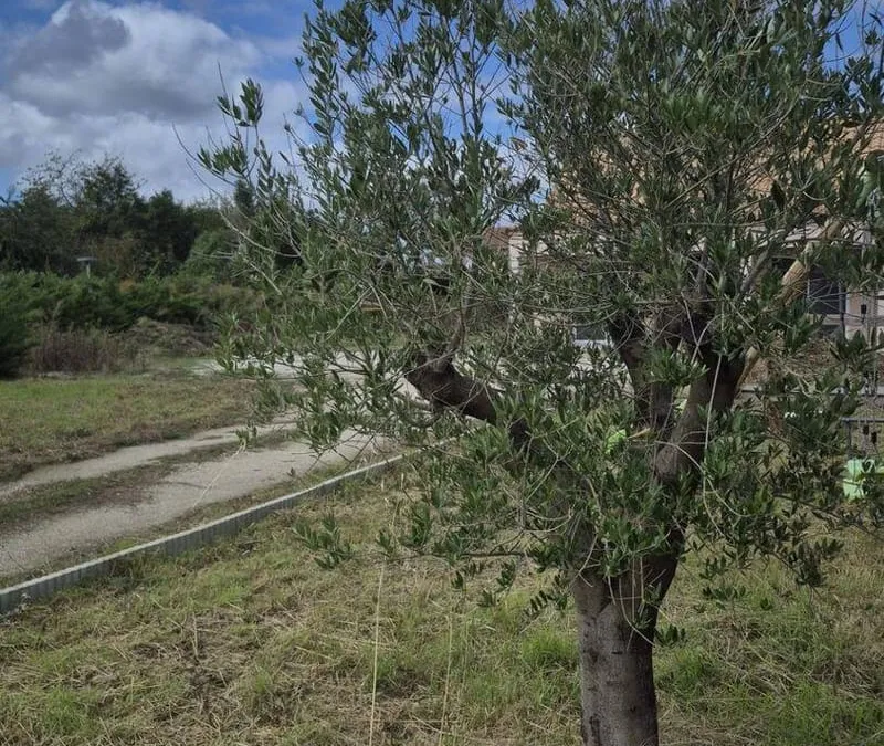 Photo 2