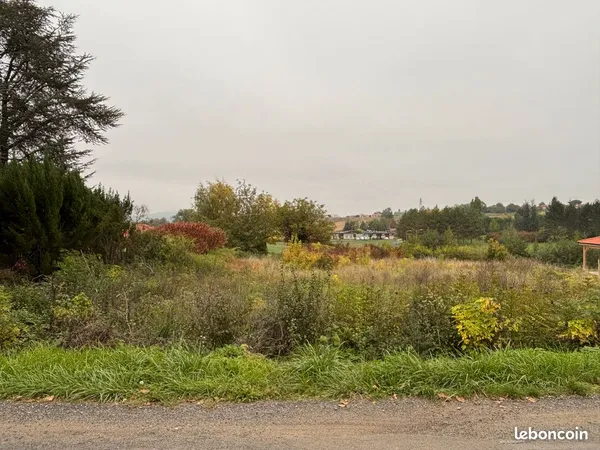 Terrain - 988 m²
