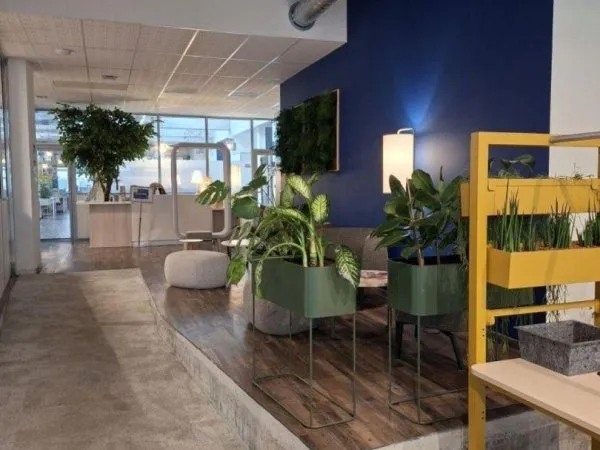Local commercial 160 m²
