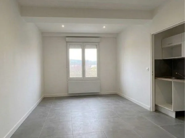 Studios entièrement rénovés à louer - Grenoble Île Verte