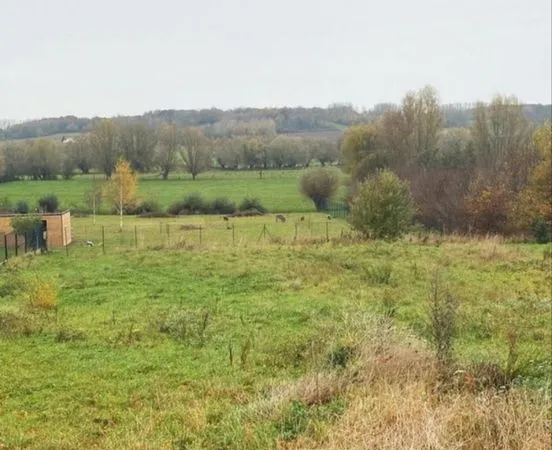 Terrain constructible