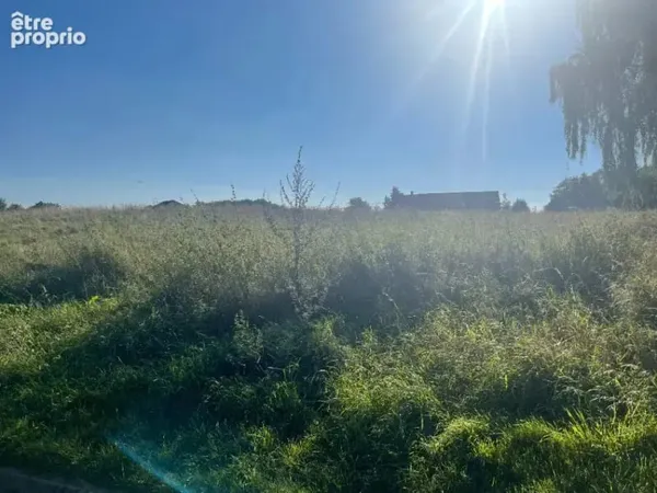 Terrain 484 m²