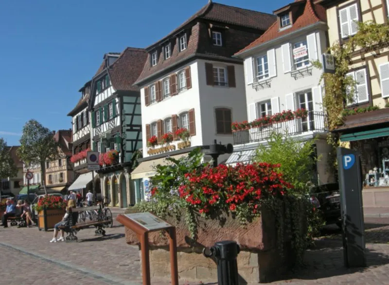 Photo 4