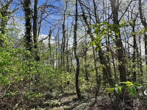 Terrain 18962 m²