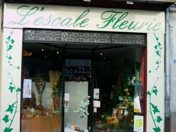 local commercial St Jean de Losne centre libre tous commerce