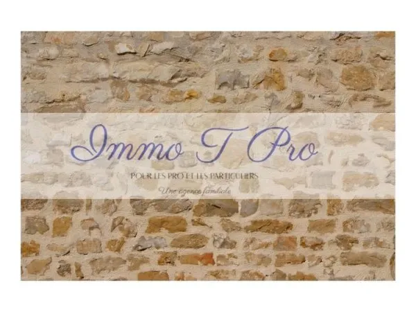 MAGNIFIQUE MURS ET FONDS 93