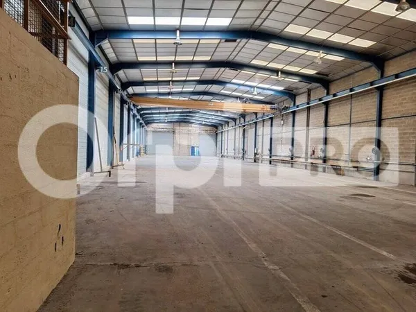 Local d'activité 1520 m²