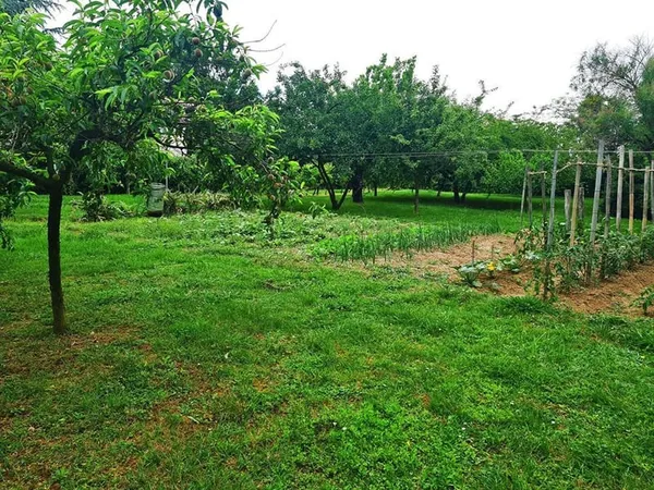TERRAIN VIABILISE PLAT DE 1494M²