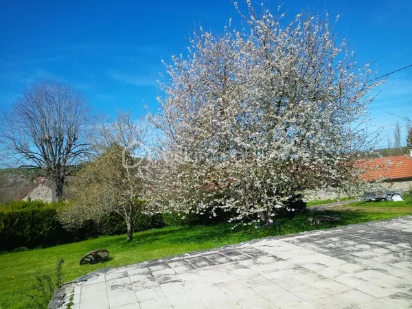 Maison 4 pièces 77 m²