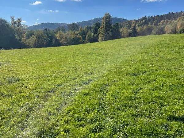Terrain constructible + agricole