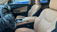 Lexus Nx 450h+ Executive 4WD — photo 11