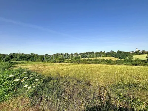 Terrain 36469 m²