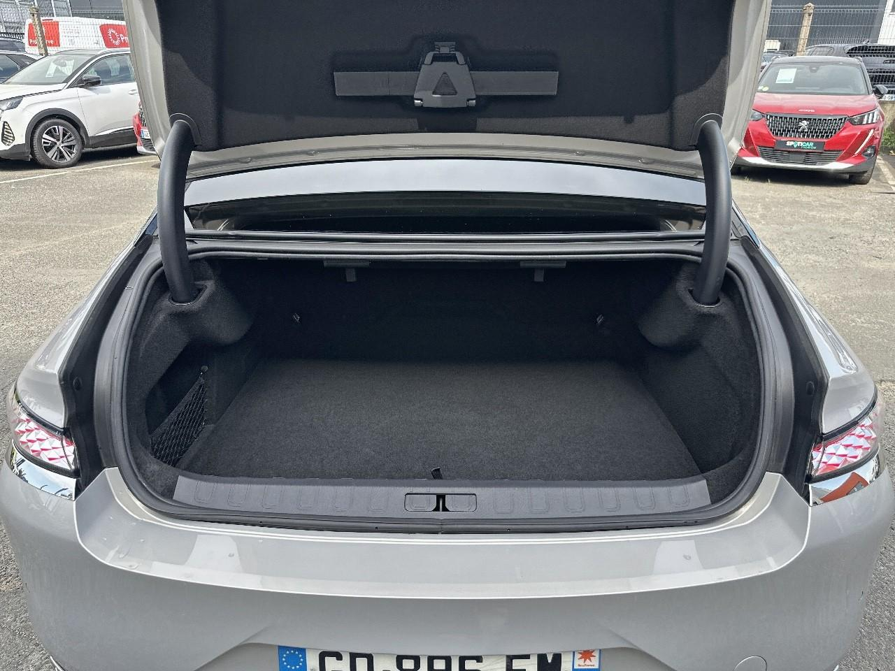 Ds Ds 9 9 hybride e-tense 250 rivoli + — photo 6